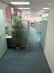 International Plaza (D2), Office #612796531